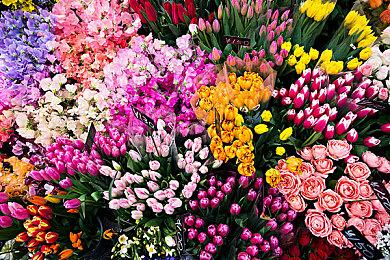 网易末世废土射击MMO新作《Ashfall》公布实机演示