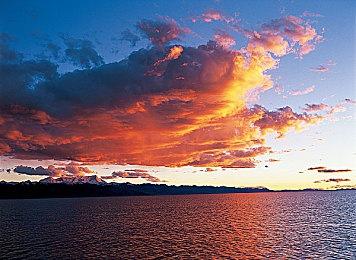 卡通派对游戏《咕喵怪物》在Steam发售 支持中文