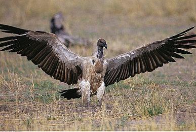 《绝区零》6分钟实机演示 世界探索及战斗实机